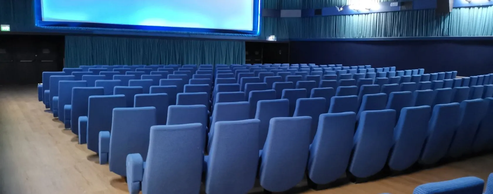 Cinema Il Portico Multisala a Firenze. Strategia di posizionamento sui motori di ricerca e realizzazione del sito internet.