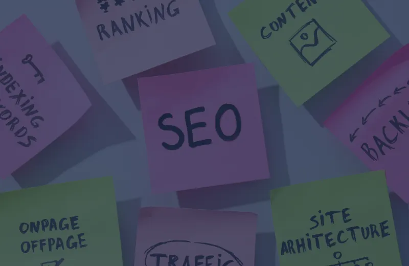 Anteprima: Consulente SEO: chi &egrave; e cosa fa?